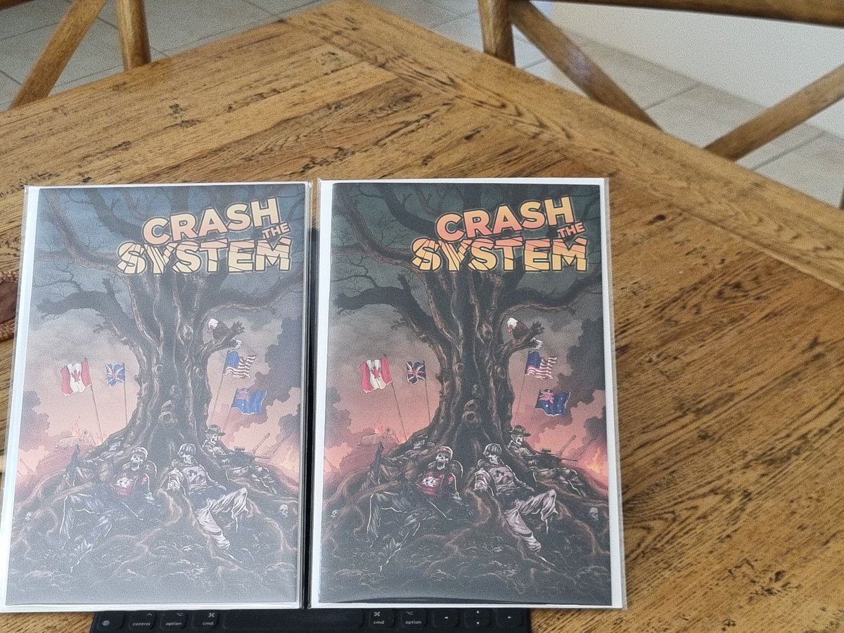 Crash the Sytem is here! Metal cover looks snazy! Congrats to <a href="/GatHanzo/">Gat Hanzo</a>, @BlackDragonSynd for some nice looking books, first book delivered in 2024 for me!