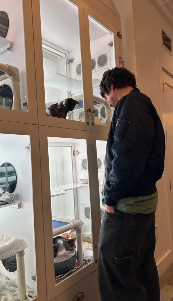 5SOS UPDATES tweet media