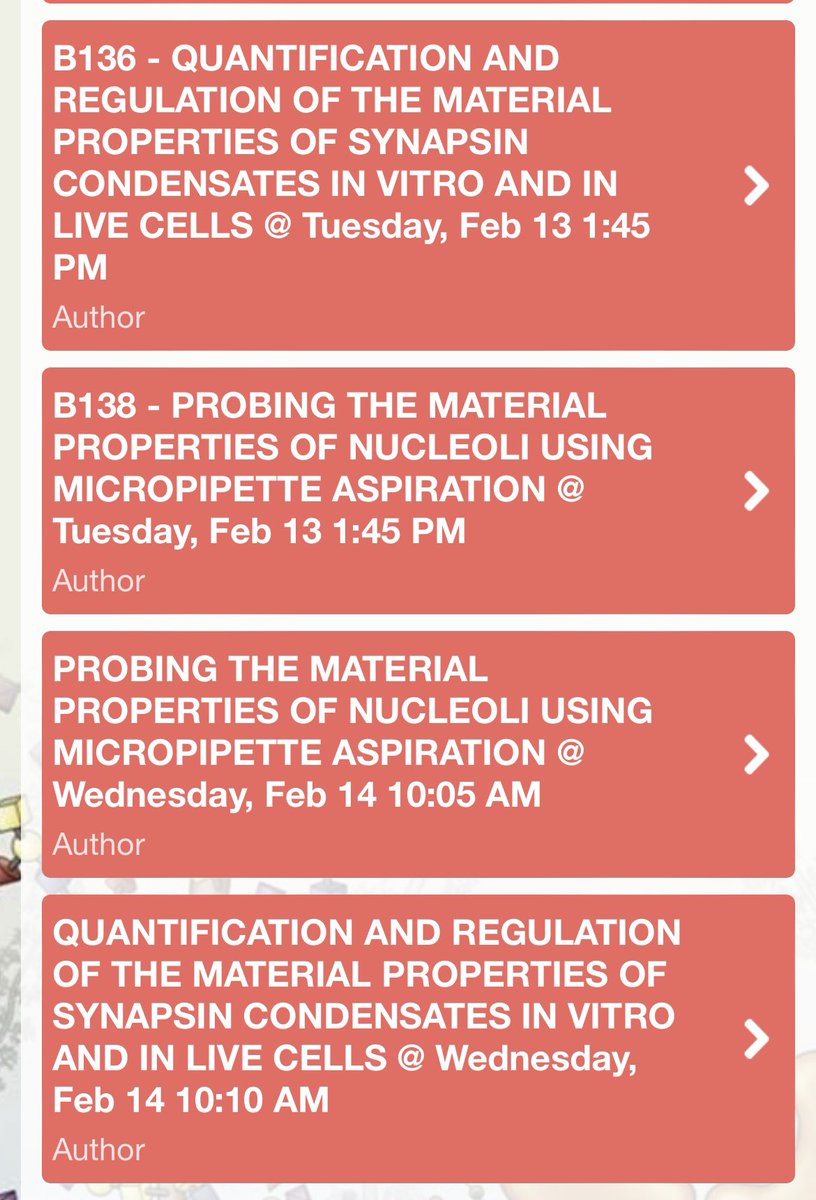 We have 8 presentations (posters+short talks) at #BPS2024, check them out!