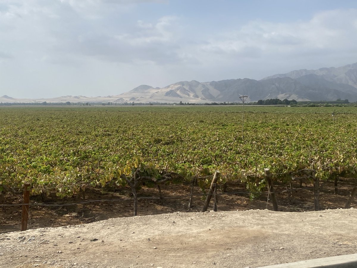 eduardos2013's tweet photo. #Gama en el Sur 🇵🇪😆 Wouuu súper inversión súper bienestar. Orgullo de “sumar” 😁 al proceso exitoso de Los Agro Exportadores 👍🇵🇪🇵🇪🇵🇪✍️✔️ https://t.co/Tq294iJOnx