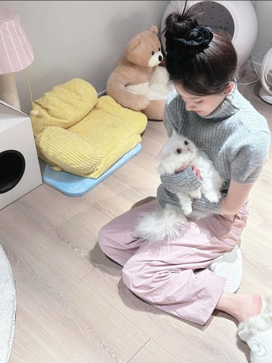 What activities do you engage in while unwinding at home? Enjoy frolicking with my feline. 🐈🗯️ Meet Rourou and Michu, their velvety fur so irresistibly plush that I find myself caressing them incessantly. Here, captured in this snapshot, is a moment of domestic bliss. 🧺⁺˳ ౨ *