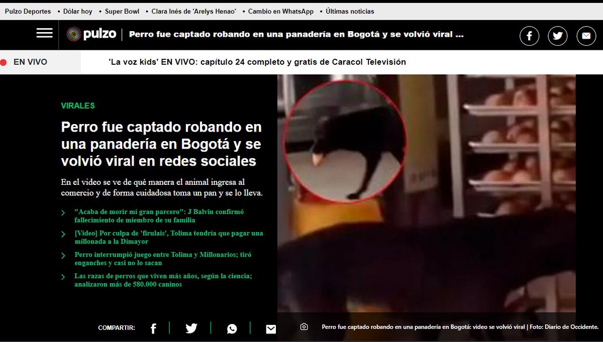 Cespmar's tweet photo. Hice la bromita del tuit de abajo y los medios colombianos son tan poco rigurosos que en verdad creyeron que el 🐶robaba en Bogotá.

Incluyendo @ultimahoracol_, medio donde publicaron la noticia de @WestCOL_.

El video lo reposteé de la cuenta mexicana @Reporte_Indigo 

Vergüenza https://t.co/0fNHm8Lcmp