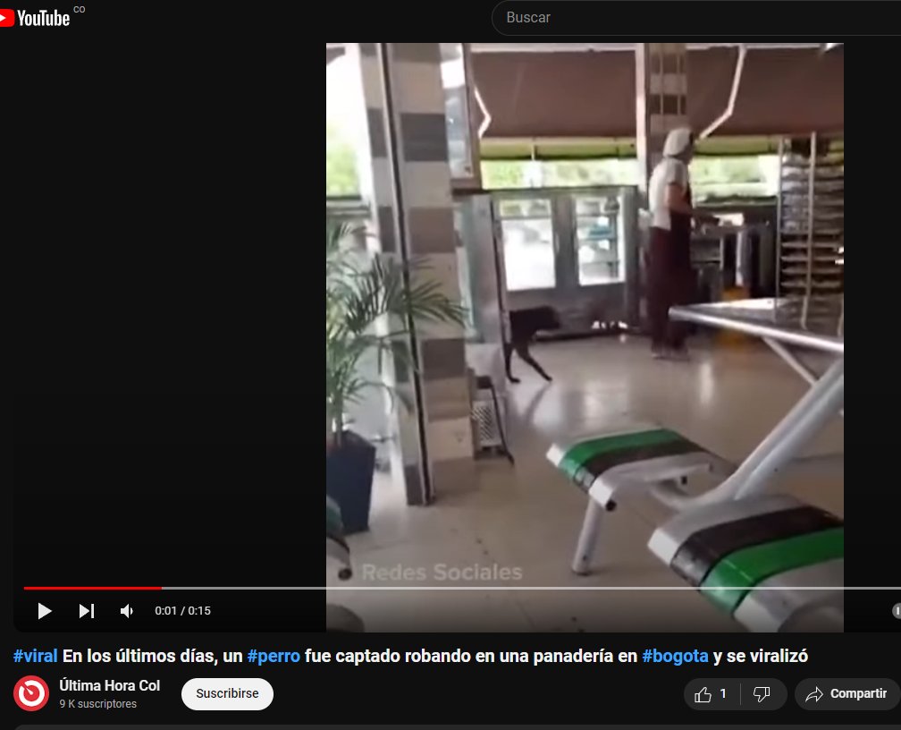 Hice la bromita del tuit de abajo y los medios colombianos son tan poco rigurosos que en verdad creyeron que el 🐶robaba en Bogotá.

Incluyendo <a href="/ultimahoracol_/">Última Hora Col</a>, medio donde publicaron la noticia de <a href="/WestCOL_/">☠WestCOL☠</a>.

El video lo reposteé de la cuenta mexicana <a href="/Reporte_Indigo/">Reporte Índigo</a> 

Vergüenza