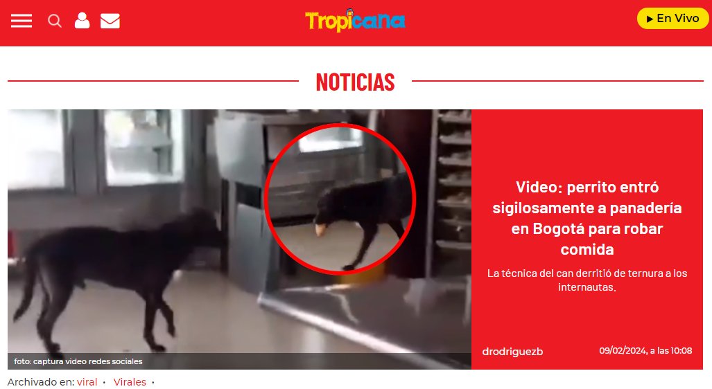 Cespmar's tweet photo. Hice la bromita del tuit de abajo y los medios colombianos son tan poco rigurosos que en verdad creyeron que el 🐶robaba en Bogotá.

Incluyendo @ultimahoracol_, medio donde publicaron la noticia de @WestCOL_.

El video lo reposteé de la cuenta mexicana @Reporte_Indigo 

Vergüenza https://t.co/0fNHm8Lcmp