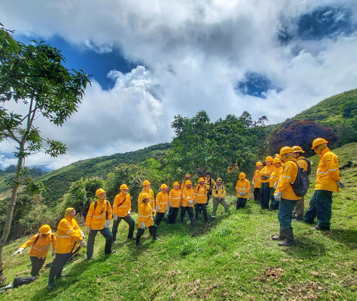 PASFecuador's tweet photo. #Colaboraciones | En respuesta al pedido de la @ambientequito brindamos apoyo en la conformación y fortalecimiento de capacidades de la BRICOM “El Oso” en Minas Chupa.

🙌🌎Agradecemos al equipo de gestión que estuvo detrás de este proceso. https://t.co/TNgbf4uLQZ