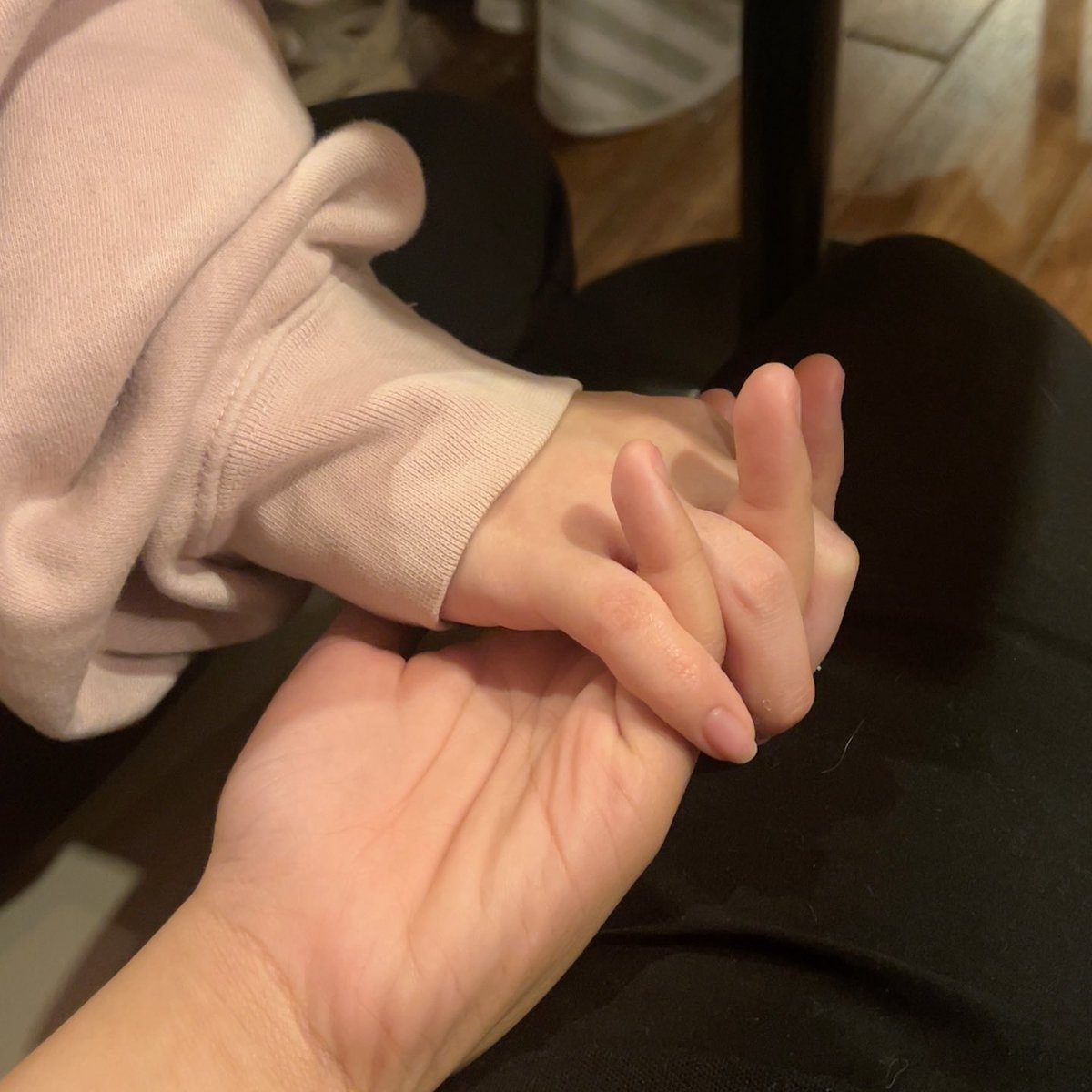 มือแมว