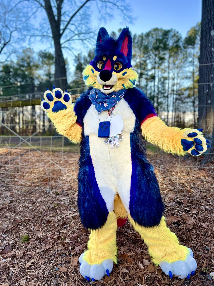It was fun getting to fullsuit again at #BWS2023! It had been too long 

#FursuitFriday