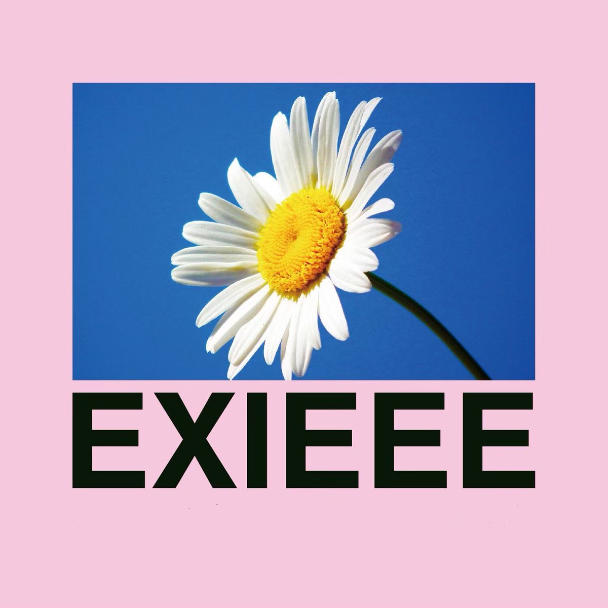 EXIEEE (@exieee_official) / X
