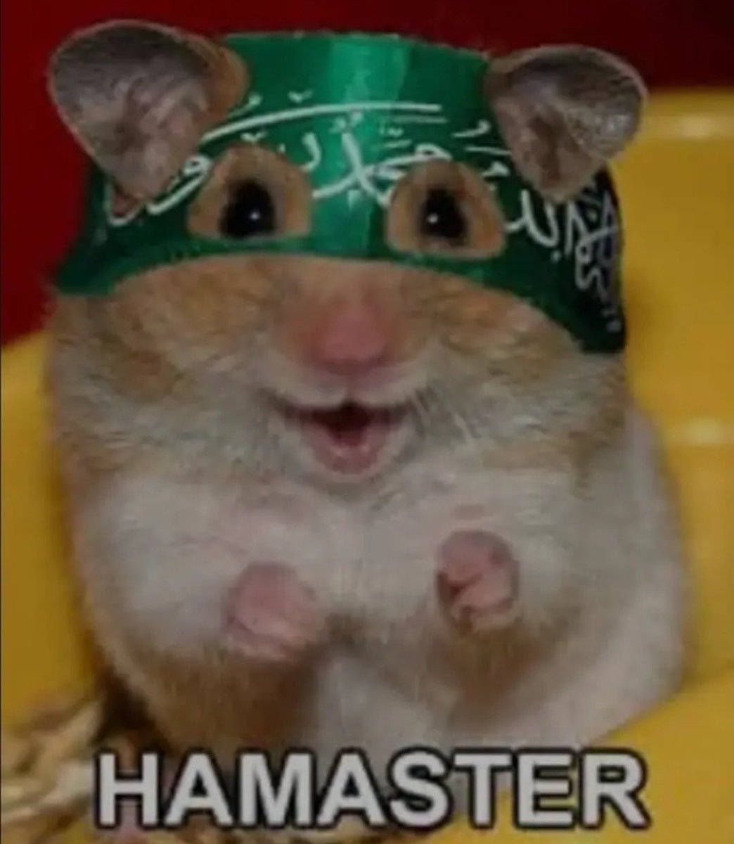 Neesee1512's tweet photo. @beforeal_ Safe Rafah has Hamas surrender fastah https://t.co/jCqKe5bgEq
