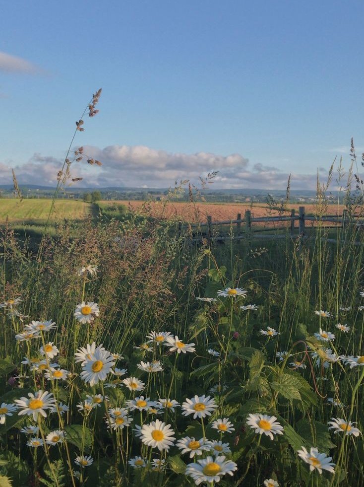 pathyystudy's tweet image. ☾ ⋆ #studytwtbr | #study ☁︎｡⋆｡

🌷͙17y
🌷͙vestibulanda de psicologia
🌷͙cursinho online
🌷͙foco: vestibulares
🌷͙֒  aprendendo= inglês/espanhol 

↺ /♥︎ = moots