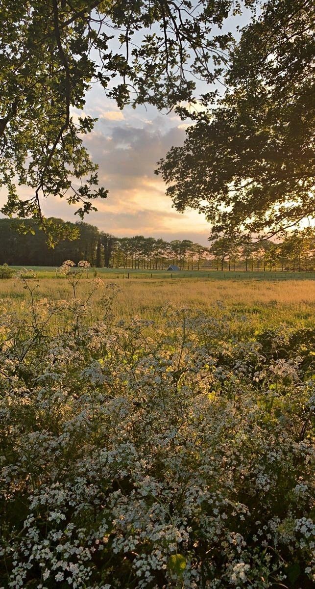 pathyystudy's tweet image. ☾ ⋆ #studytwtbr | #study ☁︎｡⋆｡

🌷͙17y
🌷͙vestibulanda de psicologia
🌷͙cursinho online
🌷͙foco: vestibulares
🌷͙֒  aprendendo= inglês/espanhol 

↺ /♥︎ = moots