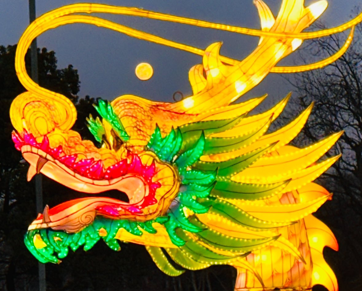 Arnauld Miguet tweet media