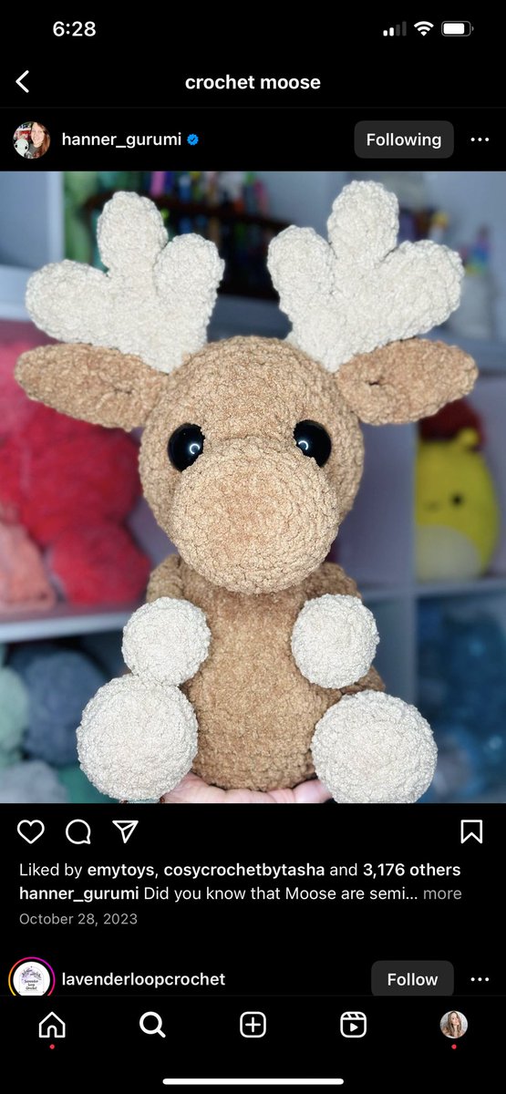 Hayli ⚡️ tweet media