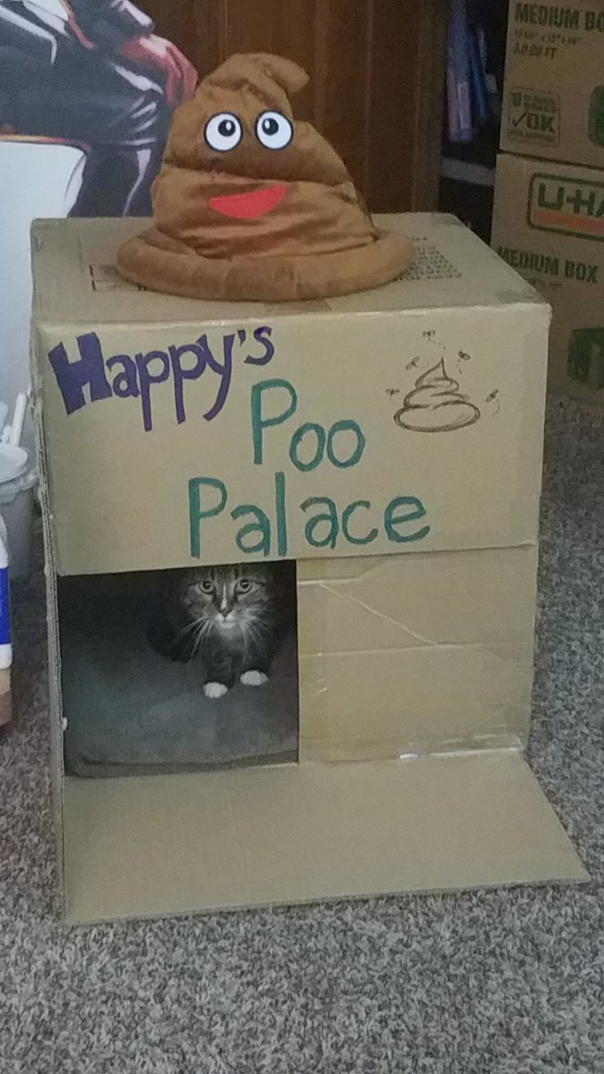 Annie-May Cosplay tweet media