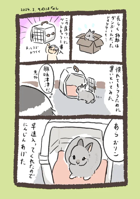 導入!

#うさぎのいる生活 