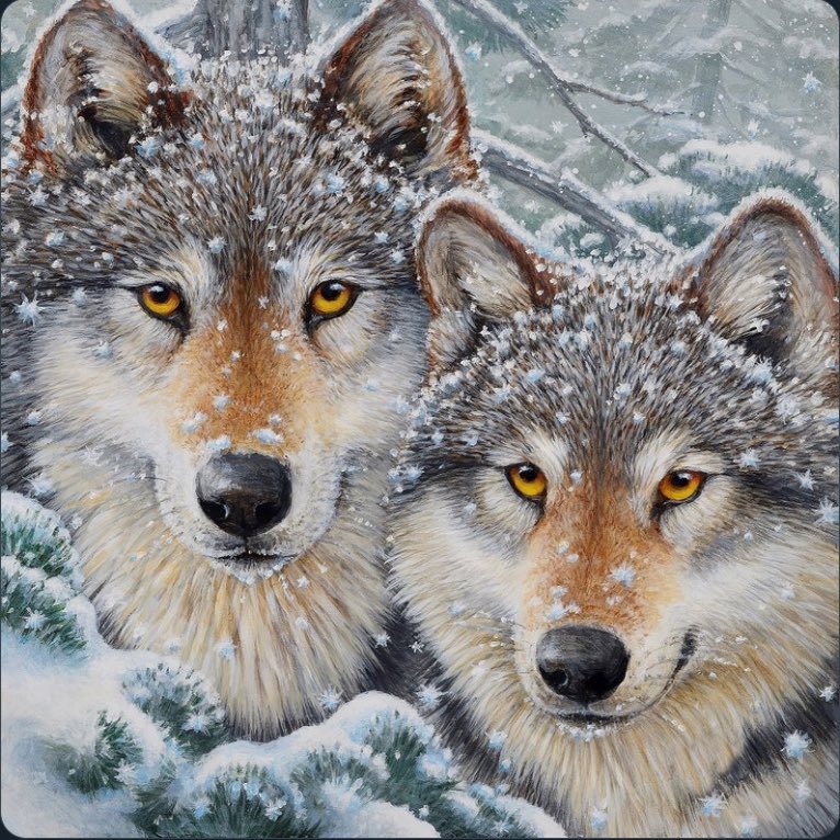 🇺🇸🦅#BlueStormComin1💙 #BlueStormFriends 🦅 (@bluestormcomin1) on Twitter photo #BlueStormBoosts
@dinochkaful
<a href="/RocksNoSalt/">Debbi Granruth 🌊🌊🌊🌻- @rocksnosalt.bsky.social</a>
<a href="/robe86970/">Special Ed 🧙♂️ 💙🌊🌊🌊</a>
<a href="/srosnato/">Sandy 🌻🇺🇦🌻🌊🌊🟧</a>
<a href="/BlueStormComin1/">🇺🇸🦅#BlueStormComin1💙 #BlueStormFriends 🦅</a>
<a href="/NusbaumVirginia/">Virginia Nusbaum</a>
<a href="/JunoWitch/">Jay Juno 🌊🇺🇲</a>
<a href="/KimNunnink1/">Luna’s Mom</a>
@BethJoh04854084
<a href="/POLILLITAM/">G.M.</a>
<a href="/49erin_MD/">Jimmy</a>
@Jennie750608
<a href="/HeddyG3533/">HeddyG</a>
<a href="/mari_moxy/">𝑀oxy = Good trouble!</a>
<a href="/FirehawkJw/">Firehawk</a>
<a href="/Yodamonkey2/">Yodamonkey (also @Yodamonkey2 on Bluesky)💞🧑🦼💞</a>
<a href="/Beleafer1/">Rene Tremblay 🚫No Dms🇨🇦🇺🇦</a>
<a href="/ESDRuthieDa/">Ruthie’s Daughter Mind Travels @ESDRuthieDa</a> @Wisewonders #BlueStormBoosts
@dinochkaful
<a href="/RocksNoSalt/">Debbi Granruth 🌊🌊🌊🌻- @rocksnosalt.bsky.social</a>
<a href="/robe86970/">Special Ed 🧙♂️ 💙🌊🌊🌊</a>
<a href="/srosnato/">Sandy 🌻🇺🇦🌻🌊🌊🟧</a>
<a href="/BlueStormComin1/">🇺🇸🦅#BlueStormComin1💙 #BlueStormFriends 🦅</a>
<a href="/NusbaumVirginia/">Virginia Nusbaum</a>
<a href="/JunoWitch/">Jay Juno 🌊🇺🇲</a>
<a href="/KimNunnink1/">Luna’s Mom</a>
@BethJoh04854084
<a href="/POLILLITAM/">G.M.</a>
<a href="/49erin_MD/">Jimmy</a>
@Jennie750608
<a href="/HeddyG3533/">HeddyG</a>
<a href="/mari_moxy/">𝑀oxy = Good trouble!</a>
<a href="/FirehawkJw/">Firehawk</a>
<a href="/Yodamonkey2/">Yodamonkey (also @Yodamonkey2 on Bluesky)💞🧑🦼💞</a>
<a href="/Beleafer1/">Rene Tremblay 🚫No Dms🇨🇦🇺🇦</a>
<a href="/ESDRuthieDa/">Ruthie’s Daughter Mind Travels @ESDRuthieDa</a> @Wisewonders