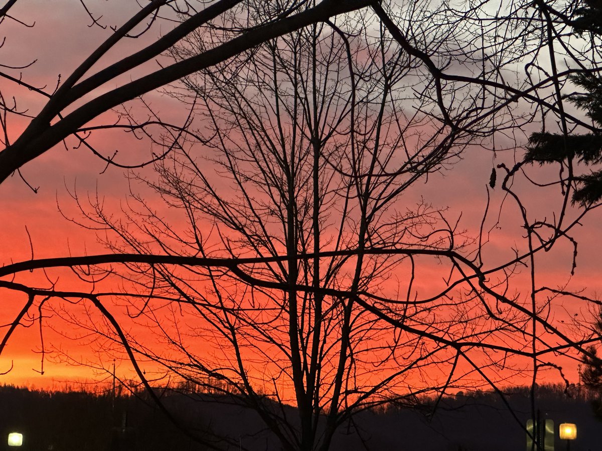 AAA_Stripe_Pro's tweet photo. Photos from today 👏☀️

#Knoxville 
#PowellTN 
#KnoxvilleTN 
#Tennessee https://t.co/Alp9ipFskX