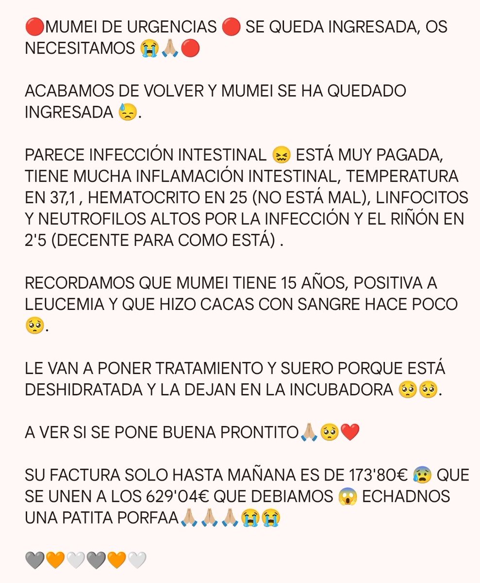 Felinos_Gabias's tweet photo. 🔴 #MUMEI DE URGENCIAS 🔴 SE QUEDA #INGRESADA, OS NECESITAMOS 😭🙏🏼🔴 #ayuda #granada https://t.co/r2RSoGXEvK
