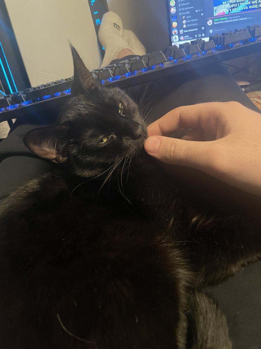 PokeeZARA tweet media