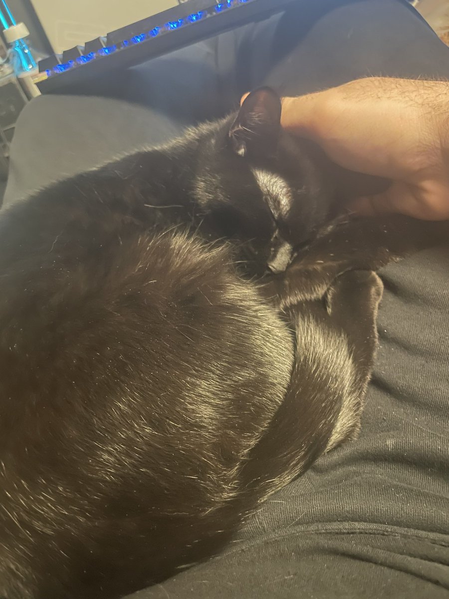 PokeeZARA tweet media