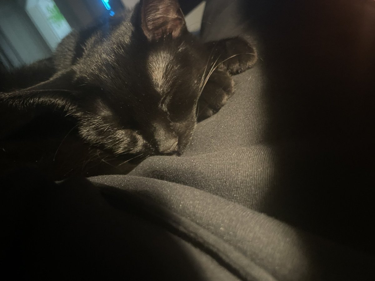 PokeeZARA tweet media