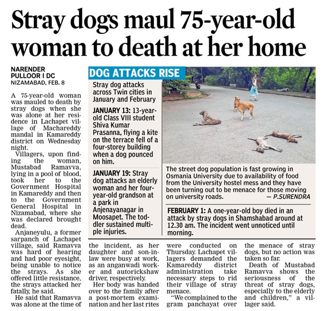 The handicapped, the aged &amp; children have no chance against packs of stray dogs that hunt &amp; kill them. What kind of govt allows this? Junk Manekas stupid ABC rules that keep dogs on streets. Now. <a href="/narendramodi/">Narendra Modi</a> <a href="/PMOIndia/">PMO India</a> <a href="/PRupala/">Parshottam Rupala</a> <a href="/Dept_of_AHD/">Dept of Animal Husbandry & Dairying, Min of FAH&D</a> <a href="/VijayGoelBJP/">Vijay Goel</a> <a href="/rita_anand/">rita anand </a> <a href="/CeoNoida/">CEO, NOIDA Authority</a>