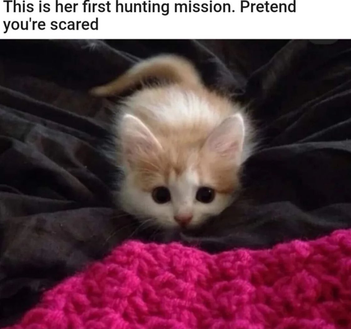 please?