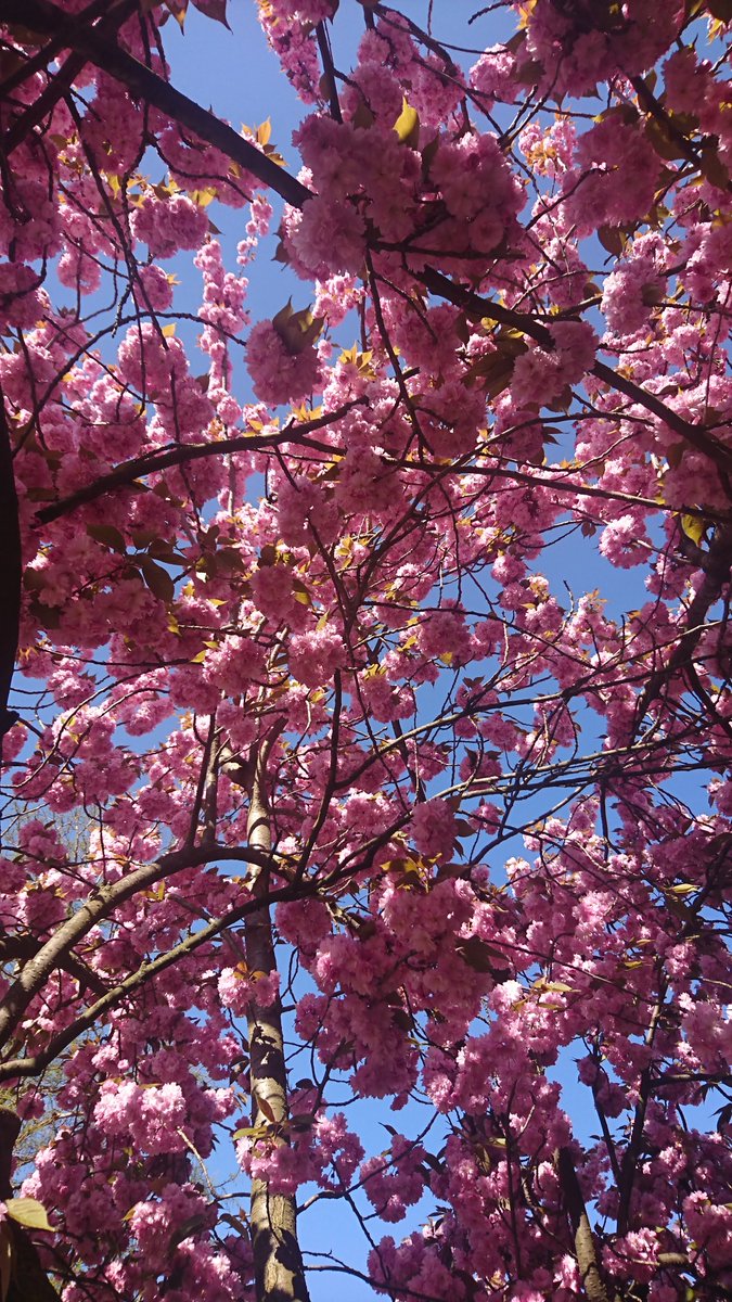 uberdenkerin's tweet image. #FrameItFriday