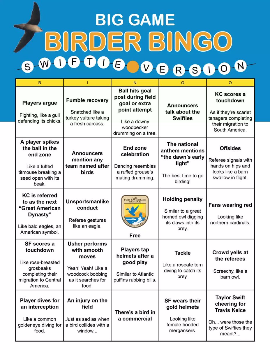 Volunteer4Birds's tweet image. I am joining the #Swifties for Chimney Swifts! 
Swifties: Birders who are passionate and loyal fans of all species of swifts, such as chimney swifts.  Birder bingo for the big game from @USFWS fws.gov/story/2024-02/… 
Learn more about #SwiftWatch at birdscanada.org/bird-science/a…