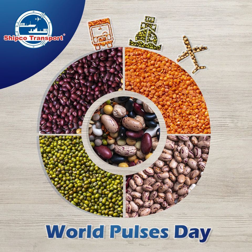 Celebrating the #WorldPulsesDay