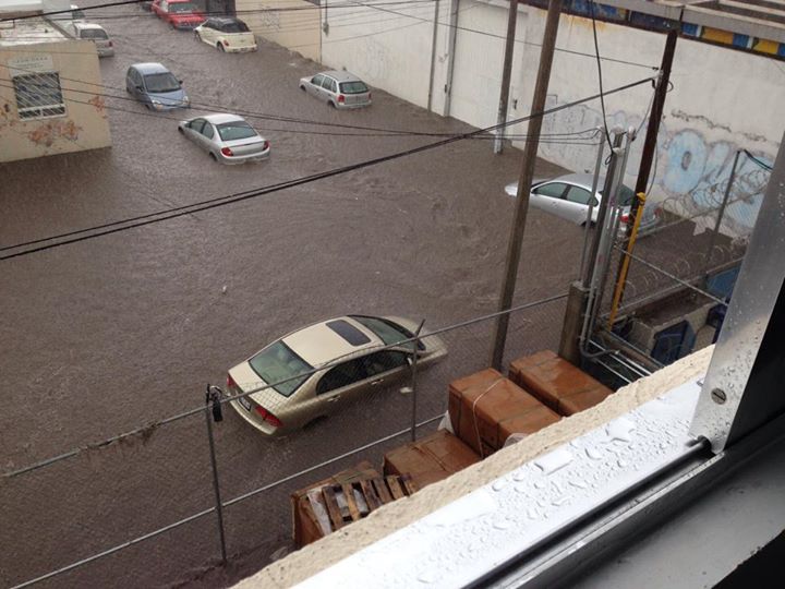 DubiDarling tweet media