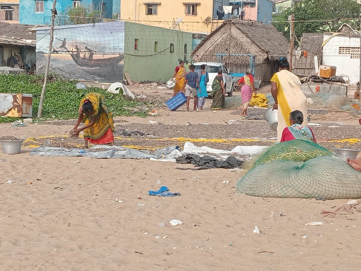 NityJayaraman's tweet photo. Chennai's beaches are working beaches. CMDA plans to "beautify" beaches with cycle tracks &amp; yoga platforms is elitist, outlandish &amp; ignores the rich &amp; diverse woman-centred fisher economy. Our beaches are #LivingBeaches #LifeGivingBeaches. Let's keep it that way. https://t.co/nGOSjvjYh8