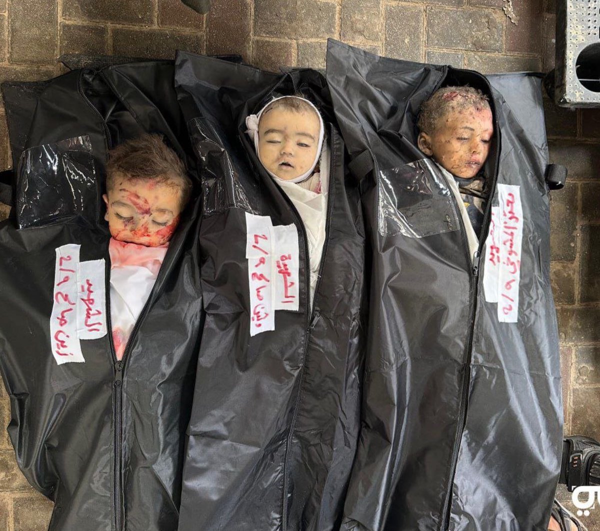 Sulaiman Ahmed tweet media