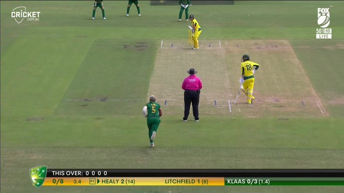 Eye pleasing from Aussie skipper... 📹 Credits: Twitter/cricketcomau