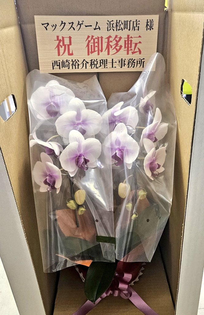 maxgame8888's tweet photo. 開店、移転のお祝いのお花を頂いております。

株式会社 橋本 様
西崎裕介税理士事務所 様

本当にありがとうございます。

心より感謝いたします😭😭😭 https://t.co/znqvpeq1tA
