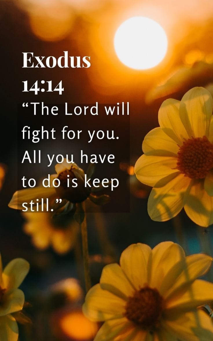 Good morning Saints, have a beautiful blessed day.🕊️🕊️🕊️