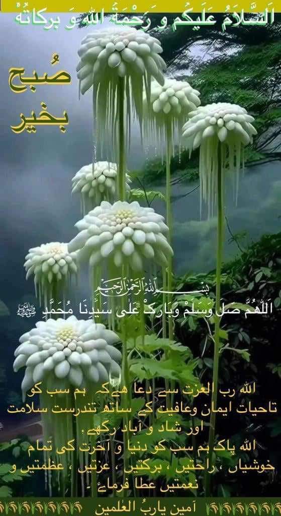 Aslaam O Alaikum subha bakhair.
#islaam
#islamic