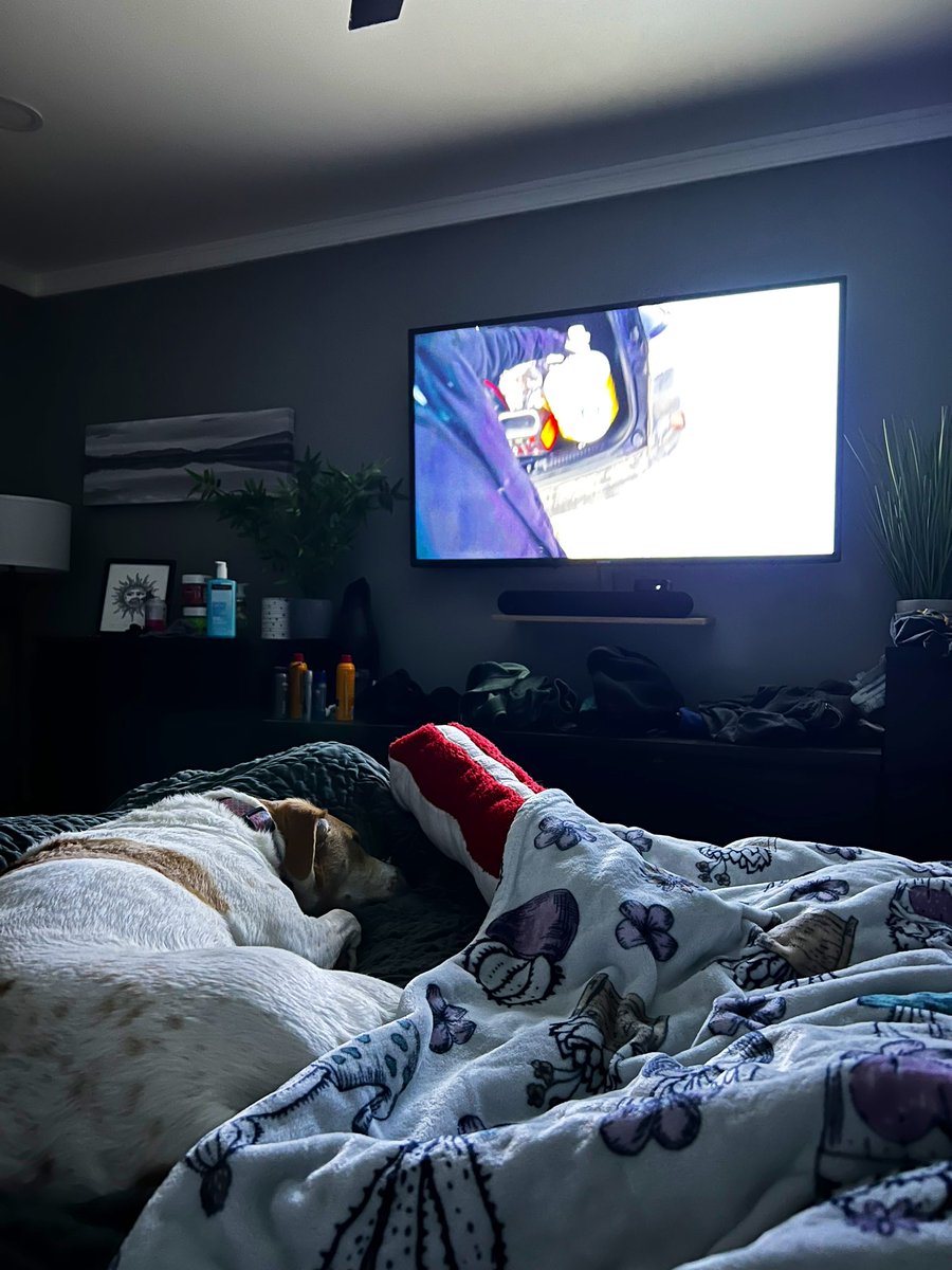 We got Izzy a big bacon and honestly it’s my new favorite toy too