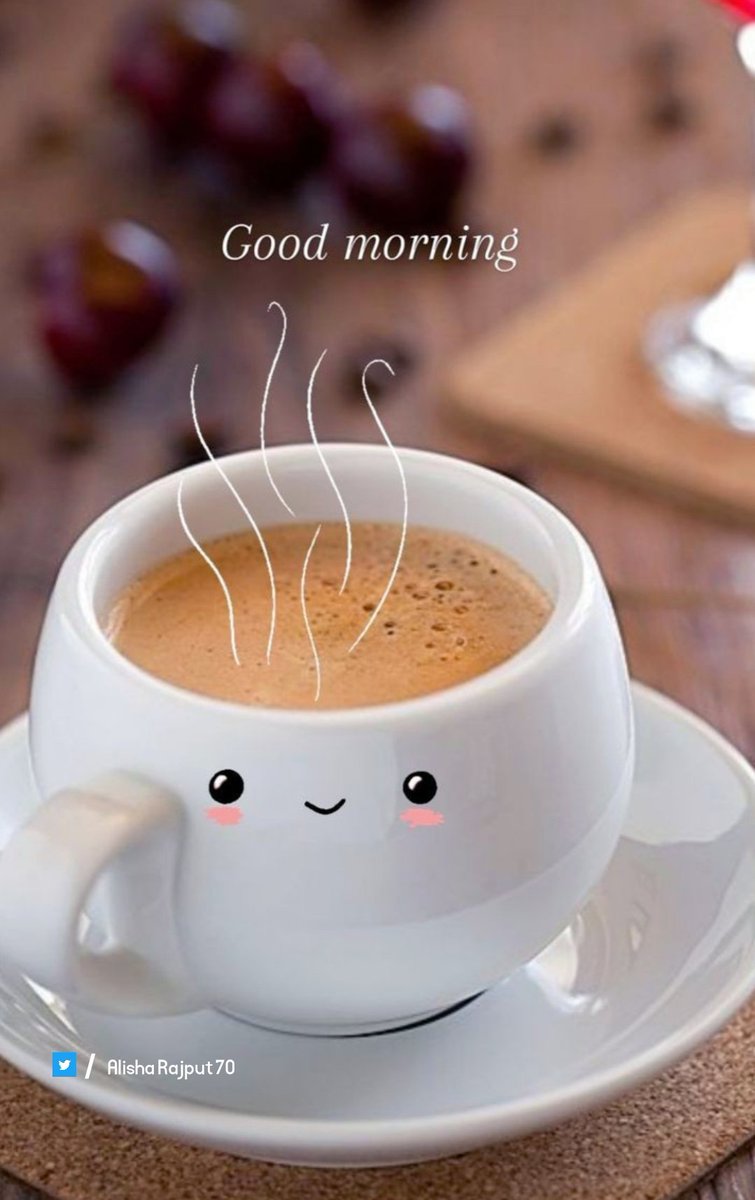 Asalam O Alikum💕🌹
Good Morning How are You? 🥀
Will You Reply My Salam ? ✨❣️