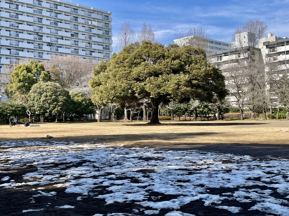 【景色】
いい天気☀️
日陰の場所は、まだ雪が残っていますね❄️
夏の雲公園

#練馬区  #キリトリセカイ #ダレカニミセタイケシキ
#ファインダー越しの世界 #雪 #イマソラ #いまそら
#晴天 #晴れ #love_bestjapan  #deaf_b_j_  #光が丘
#冬 #winter #冬の風景 #23区
#東京 #雪景色 #今日の天気