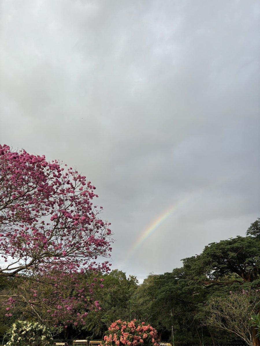 pranavvanand's tweet photo. Things I like about #Bangalore 🌷 https://t.co/5BprvD6S1m