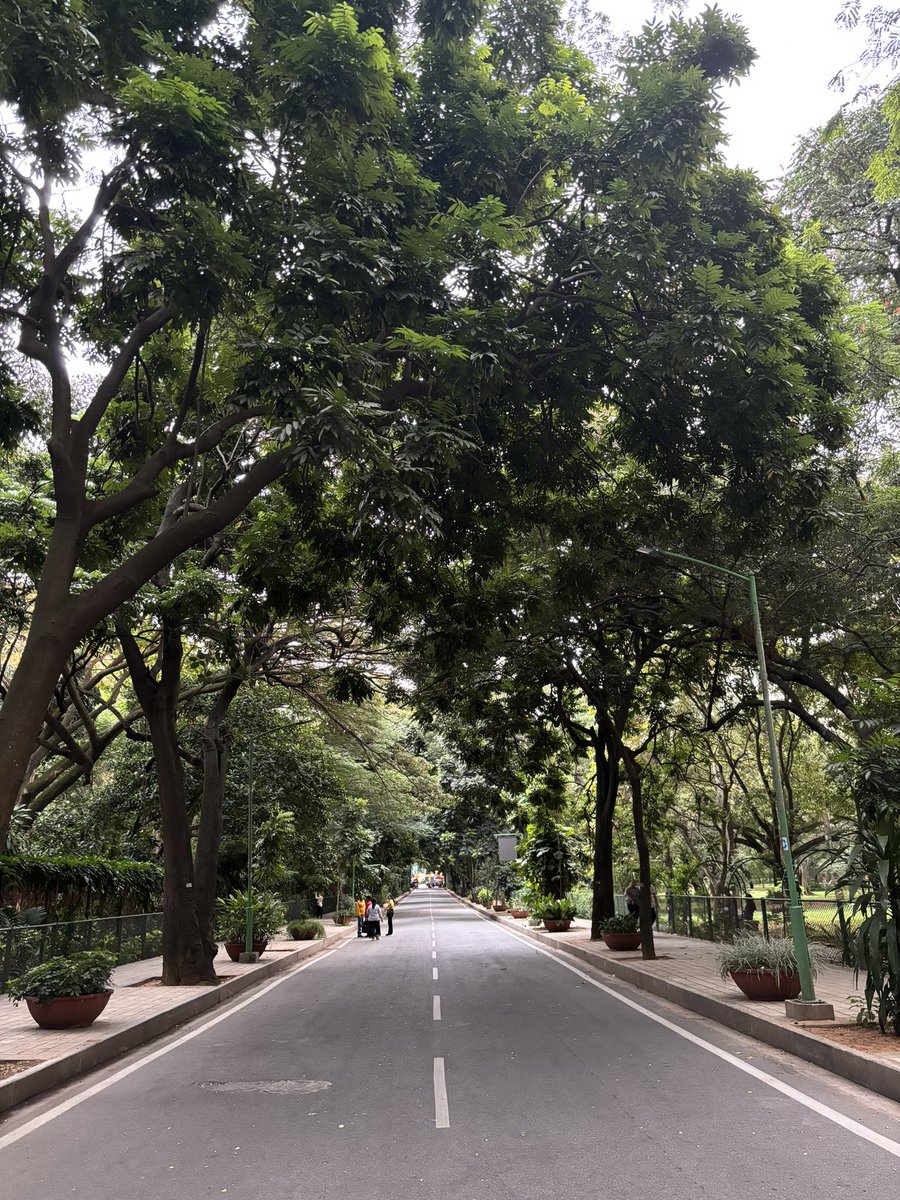 pranavvanand's tweet photo. Things I like about #Bangalore 🌷 https://t.co/5BprvD6S1m