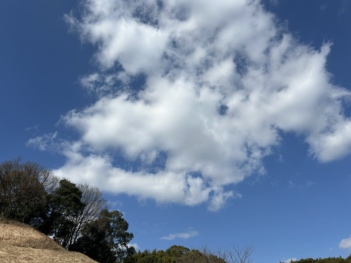 arabashiry's tweet photo. 昼ランしました8km🏃🏻‍♂️👍 https://t.co/PfcjVHFabe