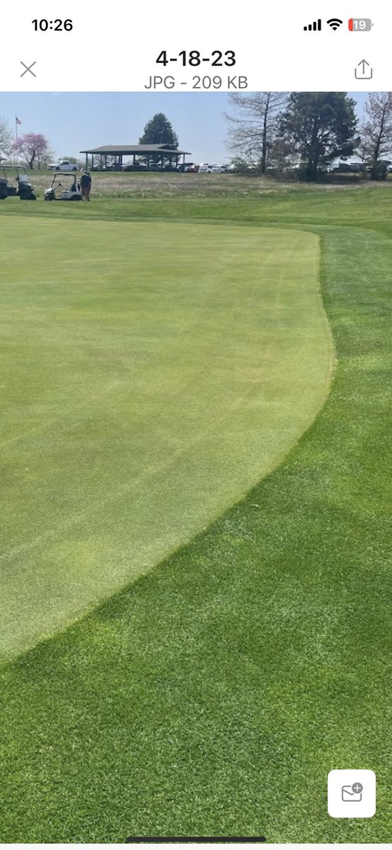 April 2021 vs 2023, can’t wait to see April of 2024.  <a href="/PoaCure/">Suk-Jin Koo</a> <a href="/MoghuUSA/">Moghu USA, LLC</a>   90% poa down to 5% in 3 seasons.