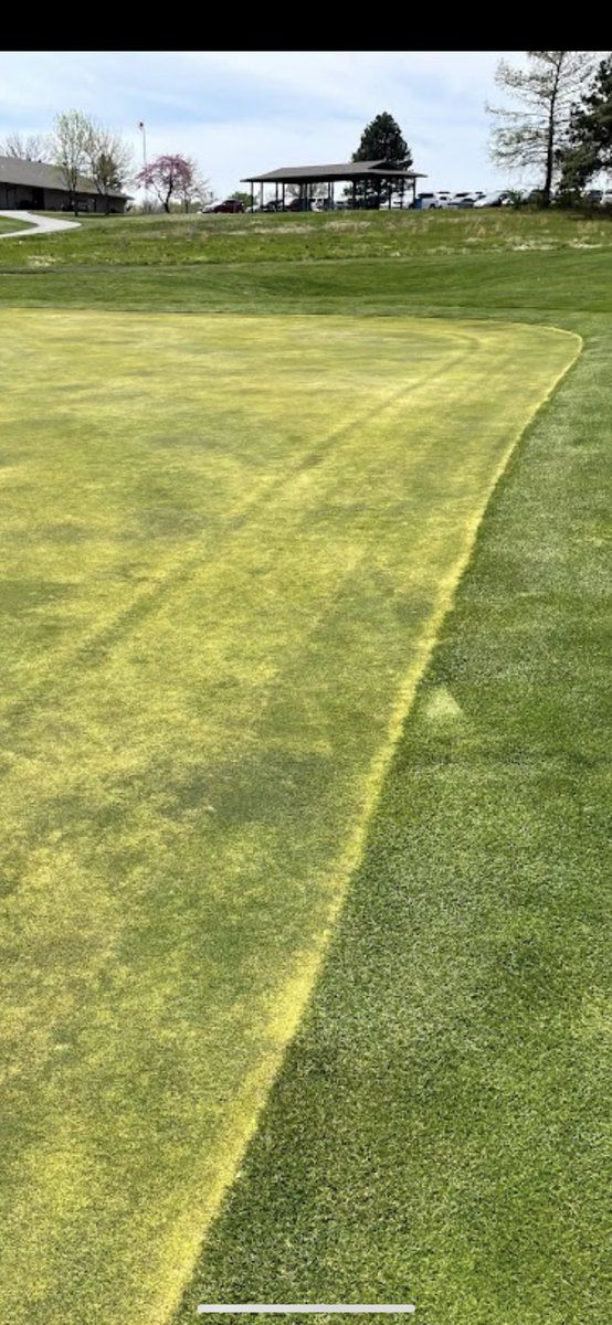 Ethan Shamet tweet media