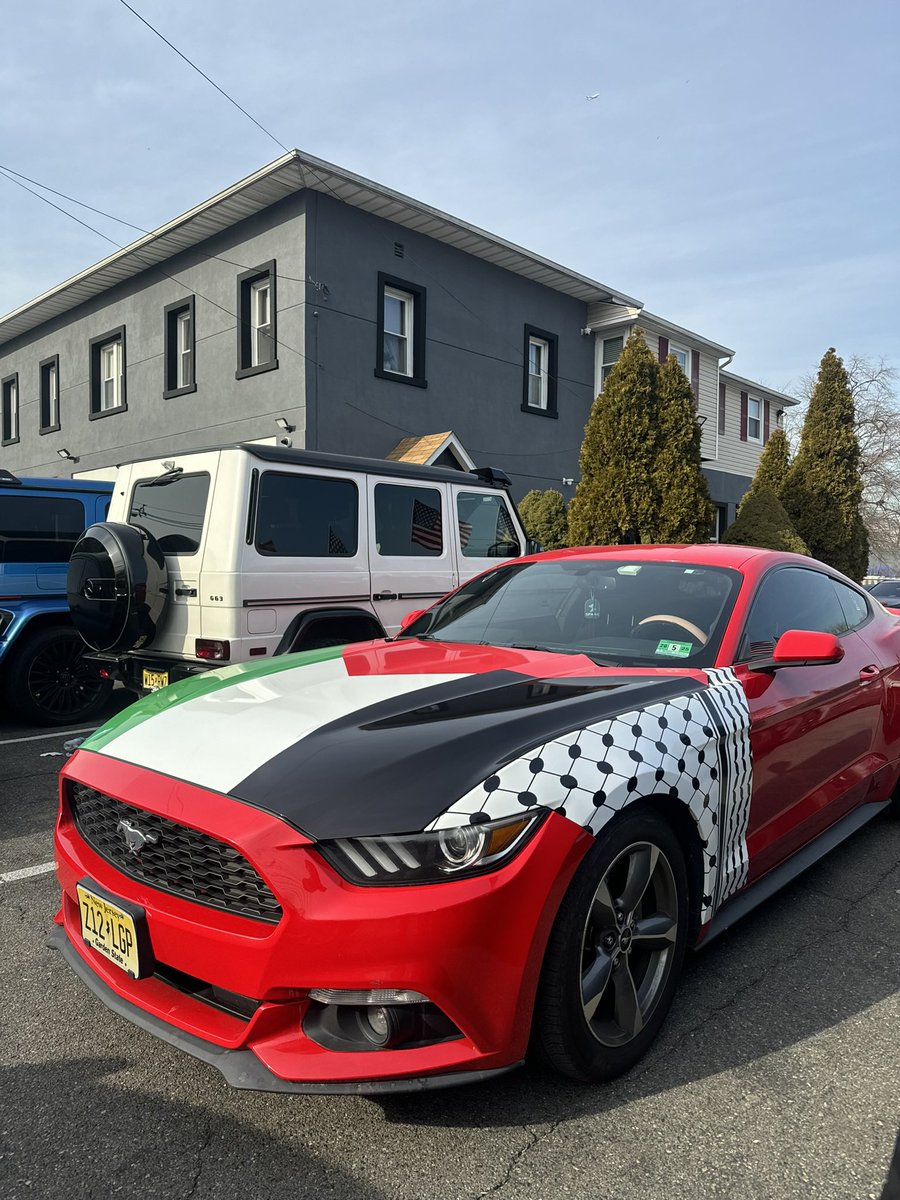 Mustang Palestine Flag &amp; Kuffiyeh 🇵🇸