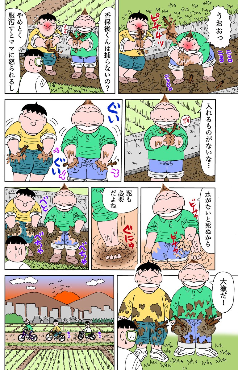 2/6 