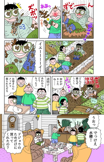 6/6 