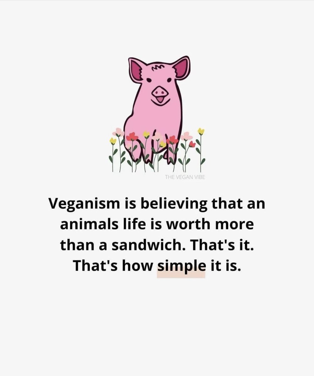 MyHealthyLife61's tweet photo. #AnimalCruelty #animalfree #changeyourdiet #plantbased #crueltyfree #vegan #changeyourdiet https://t.co/XkU2fzvx0P