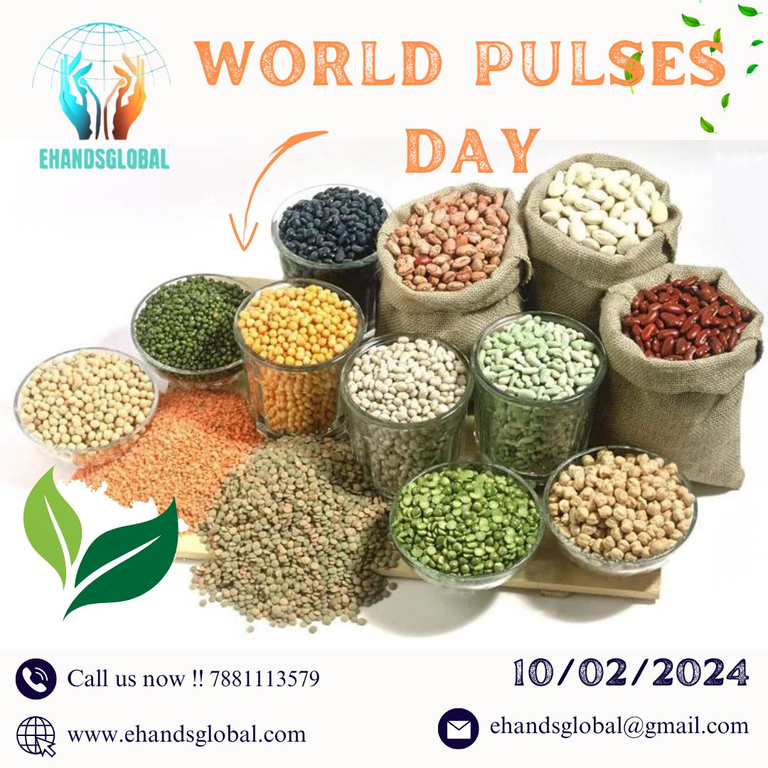 EhandsGlobalGrp's tweet photo. Celebrating WorldPulsesDay with  Ehands Global!  Pulses are the heartbeat of sustainable nutrition, fostering health and well-being globally.  
Join us in creating a healthier and more sustainable world! 
#PulsePower #SustainableNutrition #HealthyCommunities #NutritionMatters https://t.co/DBP7LqMaOX